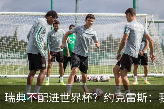 瑞典不配进世界杯？约克雷斯：我们凭实力进的，首战就5-1赢了