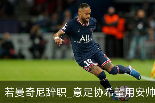 若曼奇尼辞职 意足协希望用安帅或卡纳瓦罗替代